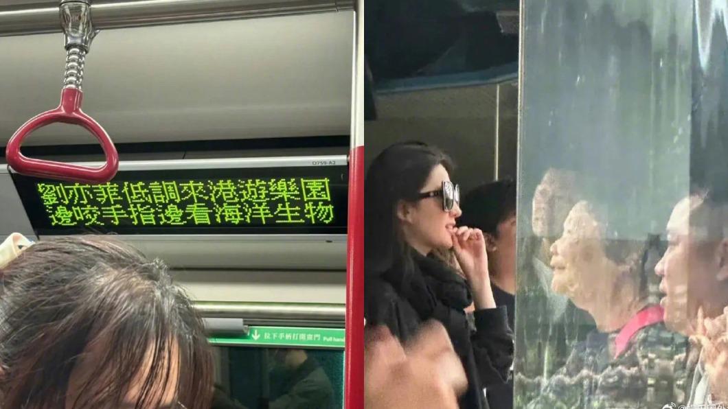  刘亦菲 
